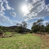 فيصل الروقي